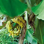 Semesterbostad Mobile Im Tropical Islands