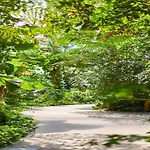 Mobile Im Tropical Islands Semesterbostad *