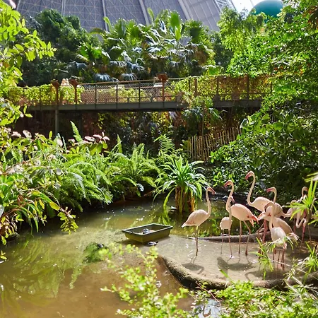 Mobile Im Tropical Islands * Krausnick