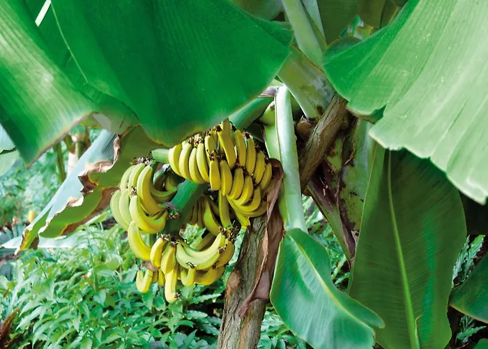 Mobile Im Tropical Islands Dom wakacyjny Krausnick