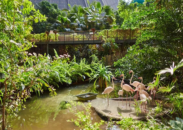 Dom wakacyjny Mobile Im Tropical Islands *